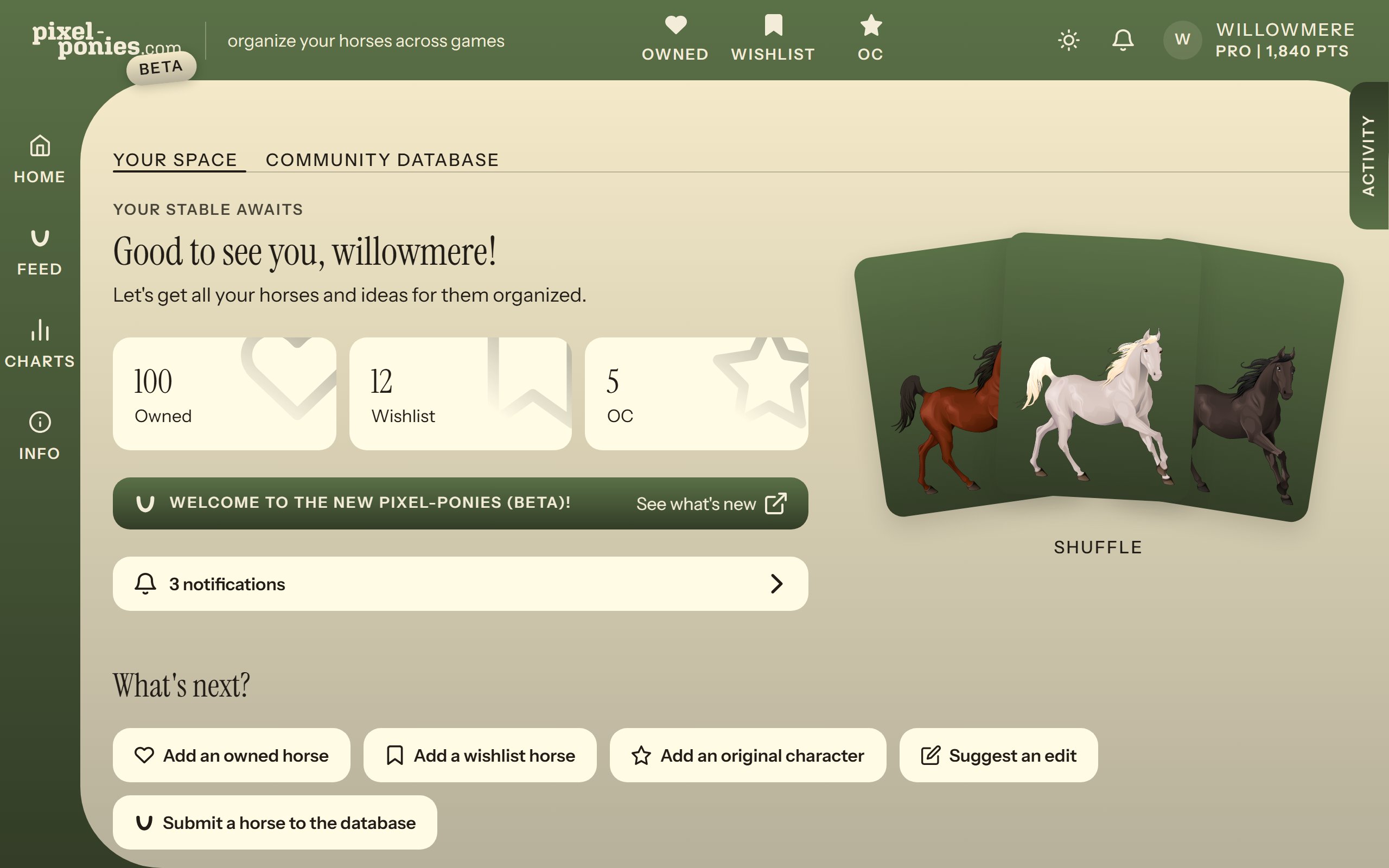 The Pixel-Ponies home page